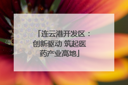连云港开发区：创新驱动 筑起医药产业高地
